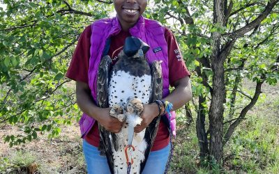 TBA Birder gets BOU scicommer award